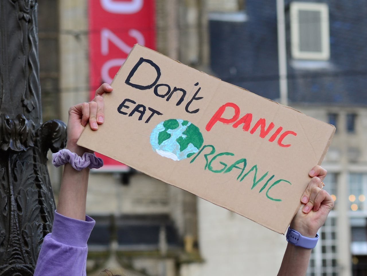 Protest sign urging organic lifestyle held aloft during urban demonstration.